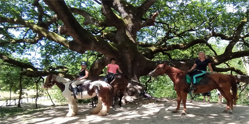 Horse ride